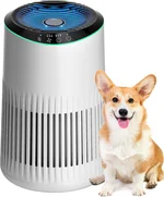 Air Purifiers for Bedroom Home, Air Purifier for Smoke Odors with Fragrance Sponge, Small Air Purifier with Sleep Mode for Bedroom Office, Blue Night Light, White, 1 Pack+3 Modes